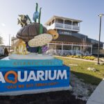 Atlantic City Aquarium 3