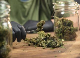 Jersey City Dispensaries