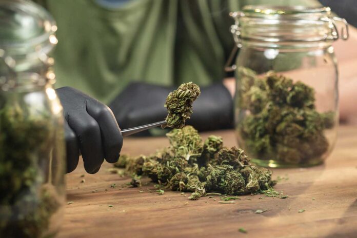 Jersey City Dispensaries